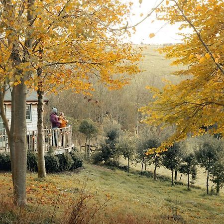 Long Bredy Cottage Orne מראה חיצוני תמונה