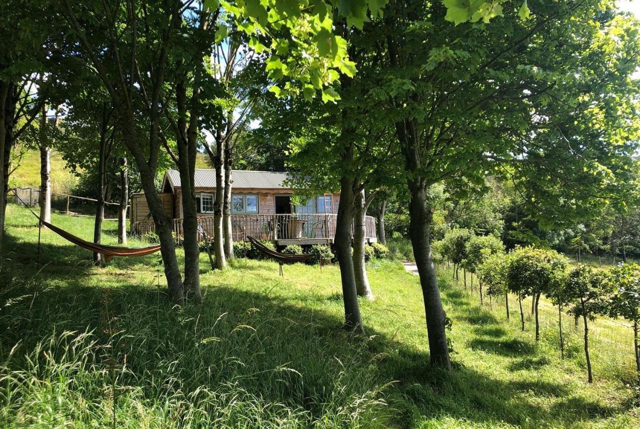 Long Bredy Cottage Orne מראה חיצוני תמונה